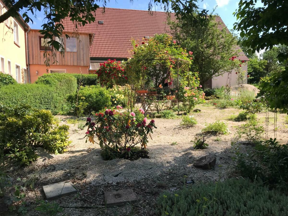 Appartment Ivonete Wettringen  Eksteriør bilde